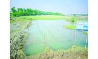ছবি