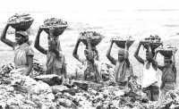 ছবি
