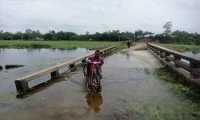 ছবি
