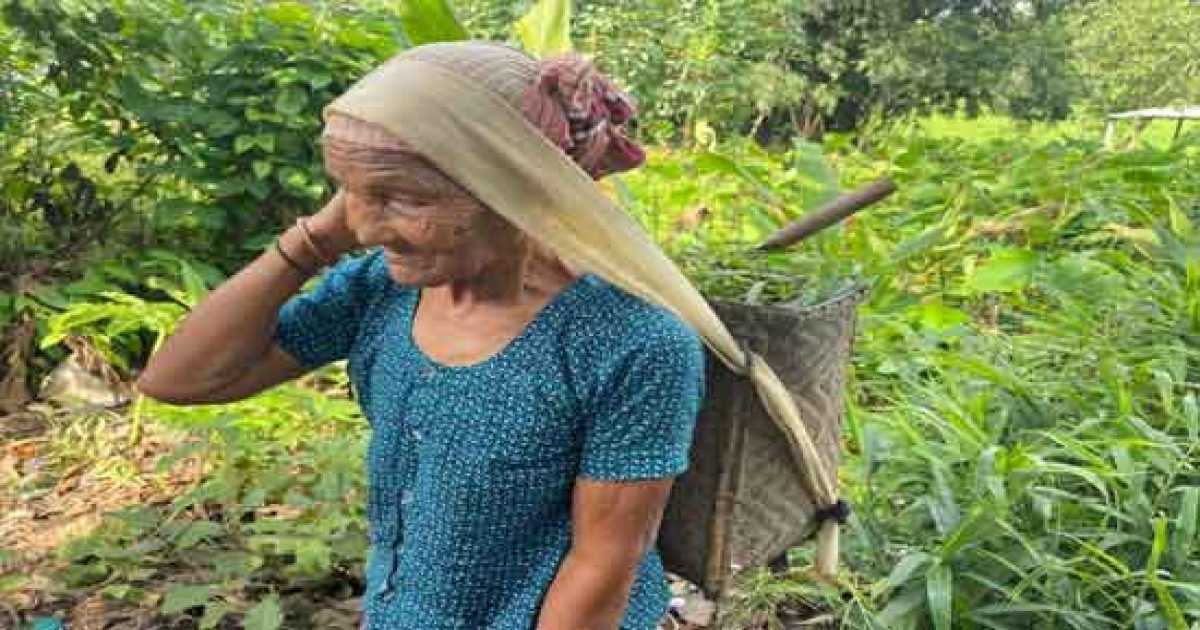 ৯৫ বছরেও সংসারের কাজে নিরলস গারো নারী বানদ্রি নকরেক
