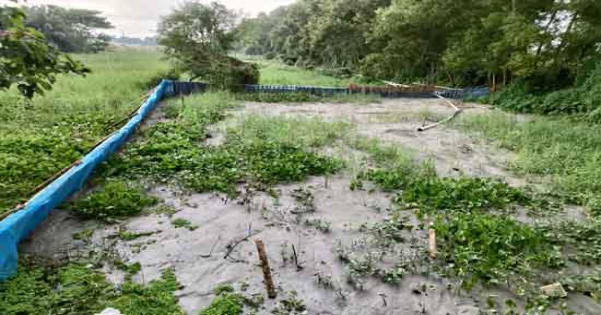 হাজীগঞ্জে খাল ভরাটে পৌরবাসীর ক্ষোভ