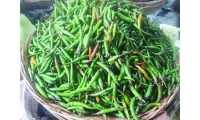 ছবি
