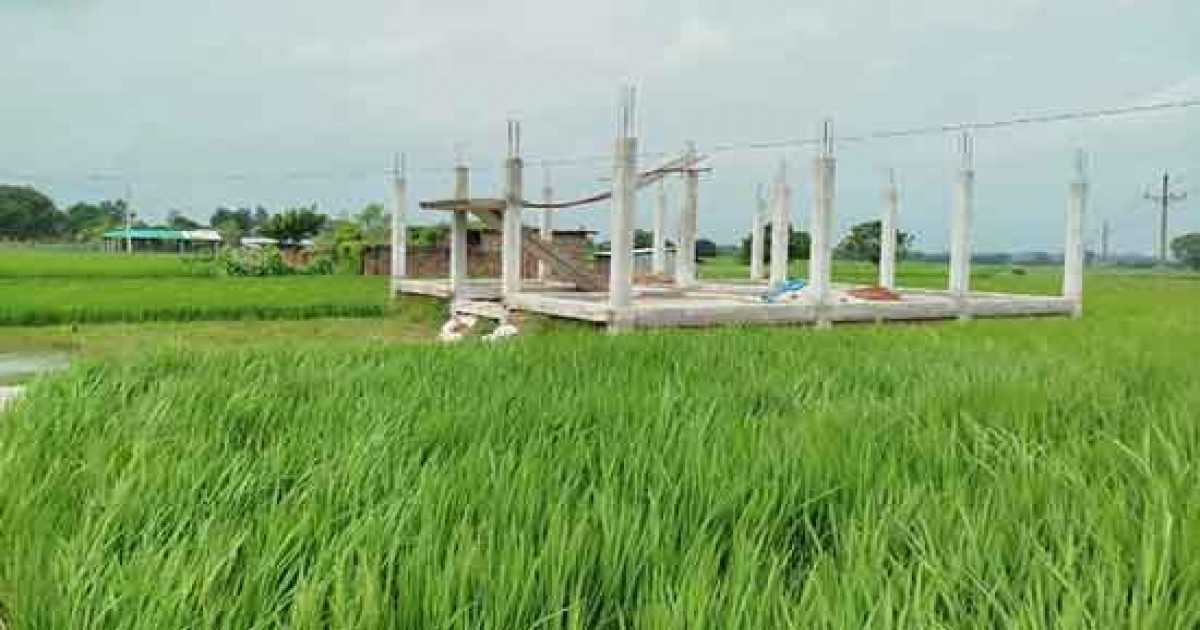 বরেন্দ্র অঞ্চলে ১৭ বছরে কমেছে ৯০ হাজার হেক্টর ফসলী জমি