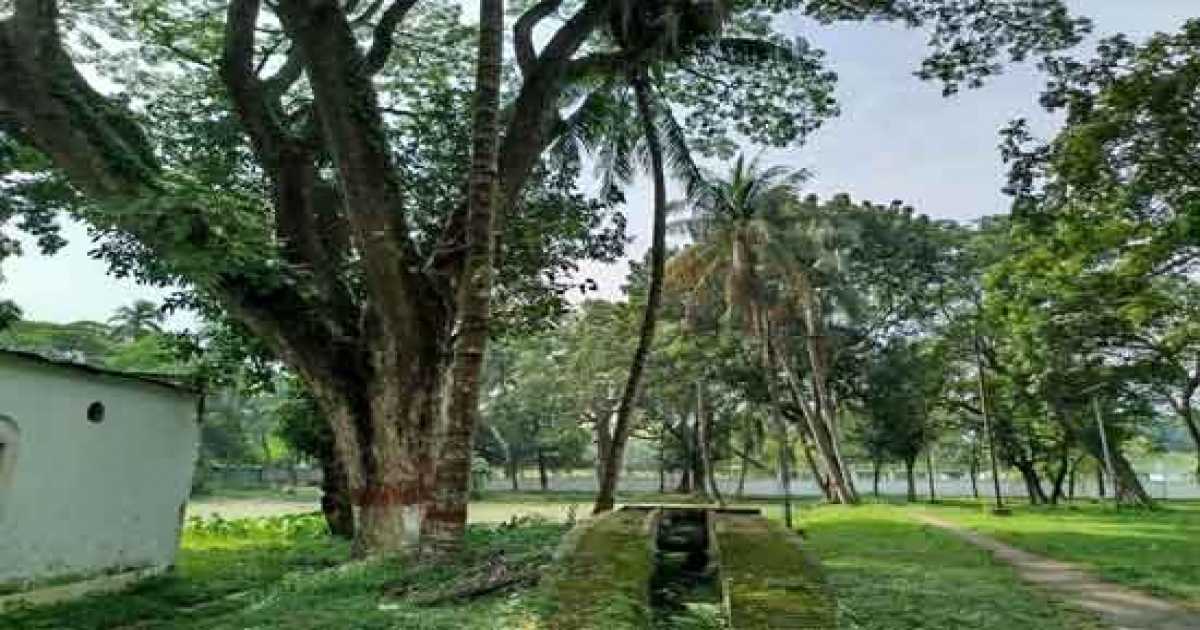 নগরীর পরিবেশ সুরক্ষায় শতবর্ষী  বৃক্ষ বাঁচিয়ে রাখান আহ্বান