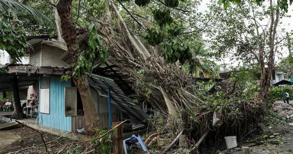 থাইল্যান্ডে টানা বৃষ্টি ও ঝড়ে ভয়াবহ বন্যা: ১৬ প্রদেশ প্লাবিত, নিহত ১২