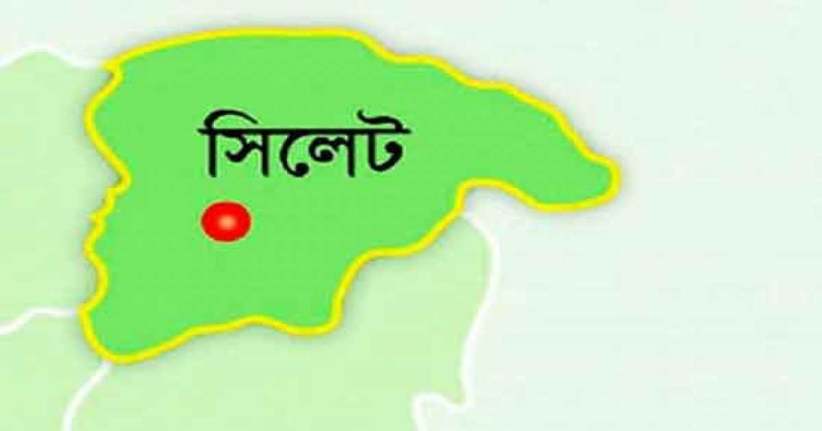 সিলেটে ধোপাদিঘীর মাছ মারা যাওয়া নিয়ে নানান প্রশ্ন
