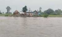 ছবি