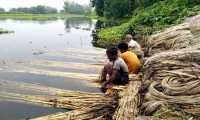 ছবি