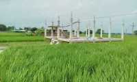 ছবি