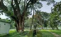 ছবি