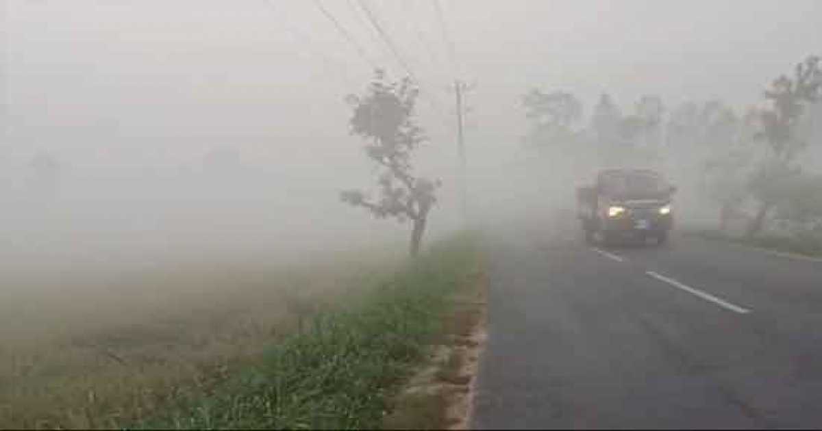 শরতের কুয়াশাচ্ছন্ন আর হিমেল হাওয়া  জানান দিচ্ছে শীতের আগমনী বার্তা