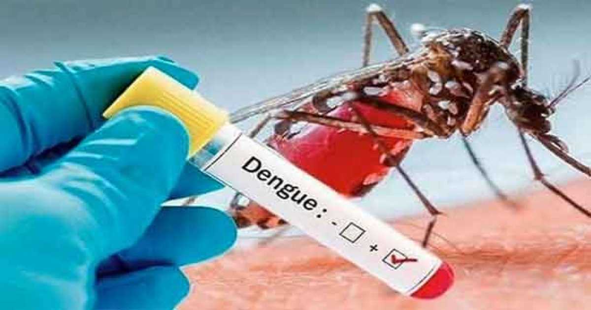 ডেঙ্গুতে আরও ৭১৫ জন হাসপাতালে, মৃত্যু ২