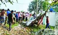 ছবি