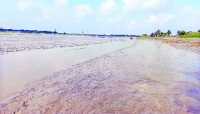 ছবি