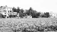 ছবি
