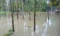 ছবি