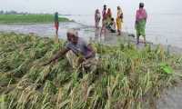 ছবি