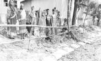ছবি