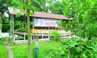 ছবি