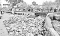 ছবি