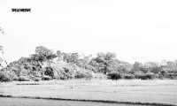 ছবি