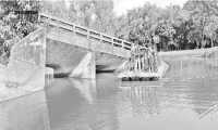 ছবি