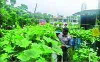 ছবি