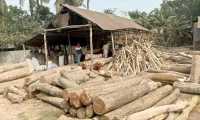 ছবি