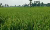 ছবি