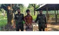 ছবি