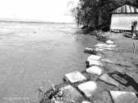 ছবি