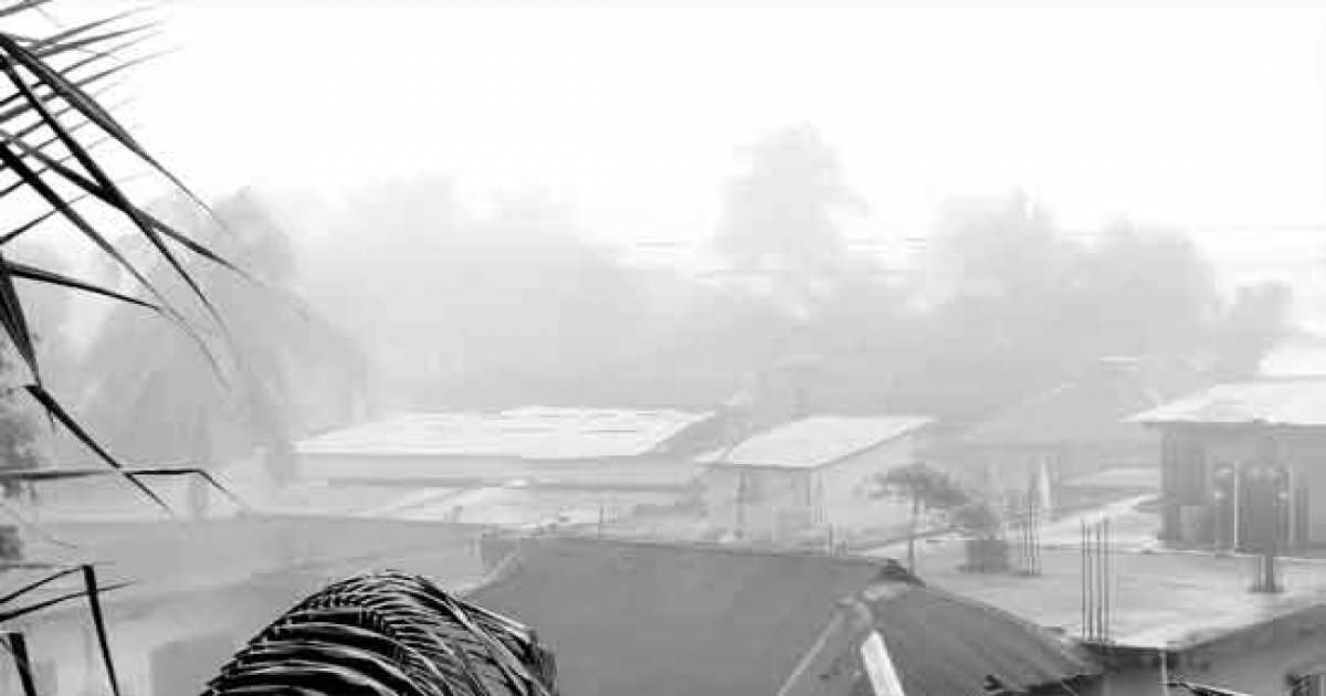 বেতাগীতে ভোরের ঘনকুয়াশা জানান দিচ্ছে শীতের আগমনী বার্তা