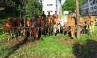 ছবি