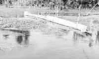 ছবি