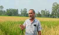 ছবি