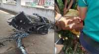 ছবি
