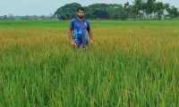 ছবি