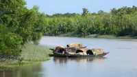 ছবি