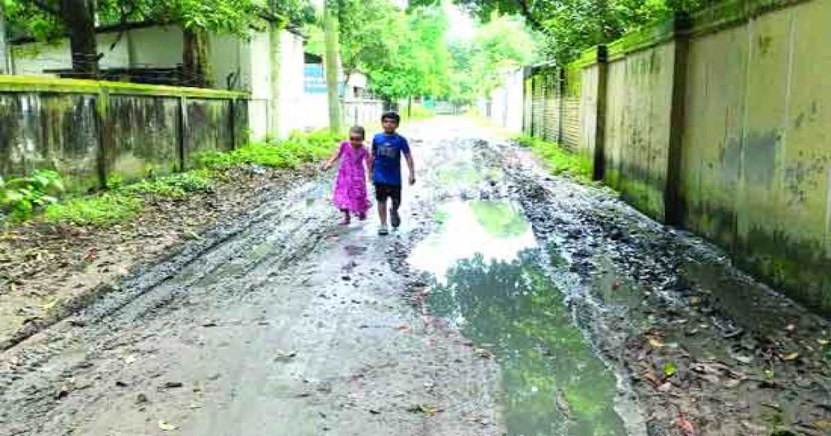 উন্নয়নের বদলে বেহাল দশা ৬০ বছরের রাজবাড়ী বিসিক শিল্পনগরী