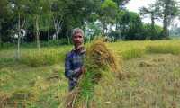 ছবি