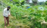 ছবি