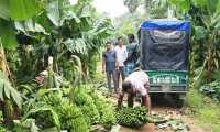 ছবি