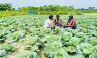 ছবি