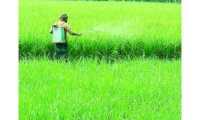 ছবি