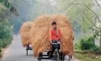 ছবি