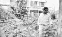 ছবি