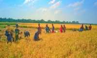 ছবি
