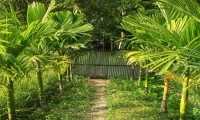 ছবি