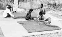 ছবি