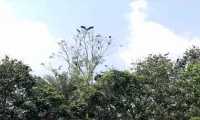 ছবি